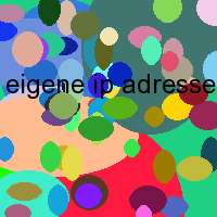 eigene ip adresse im internet